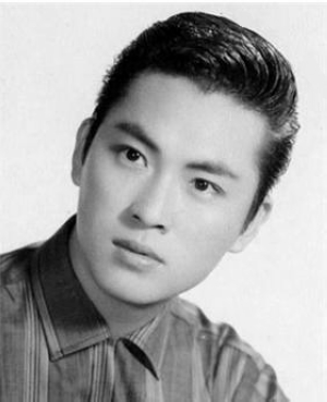 Chin Han