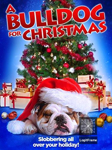 A Bulldog for Christmas 