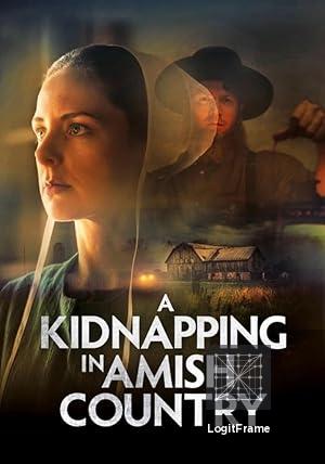 A Kidnapping in Amish Country 