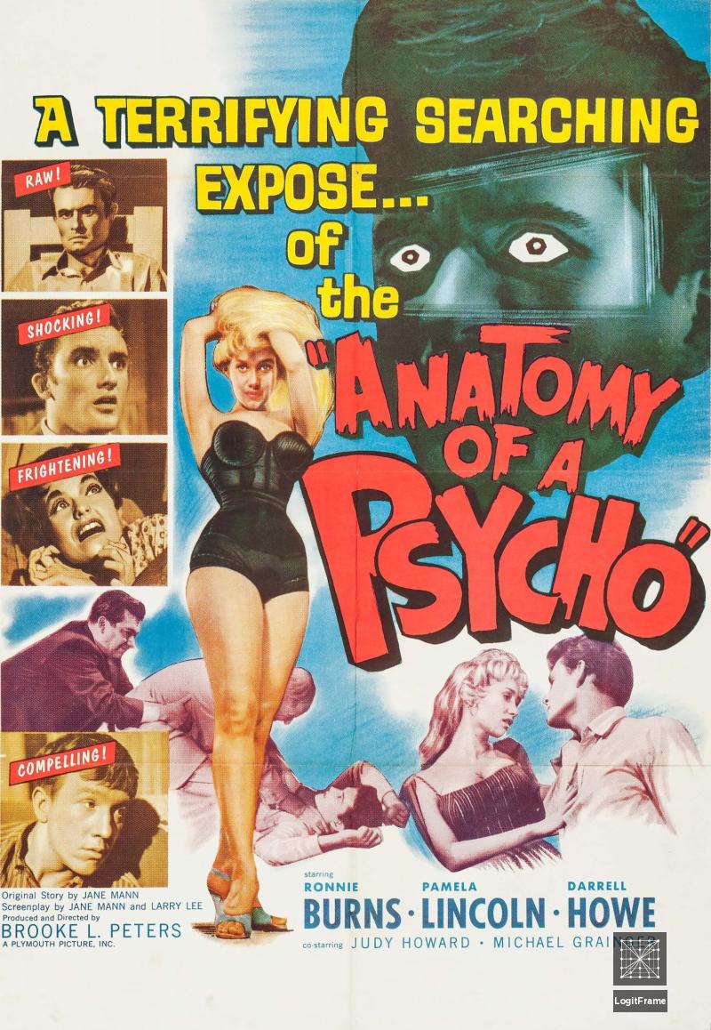 Anatomy of a Psycho 