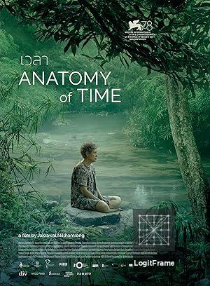 Anatomy of Time 