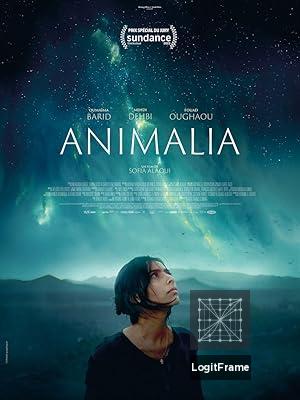 Animalia 