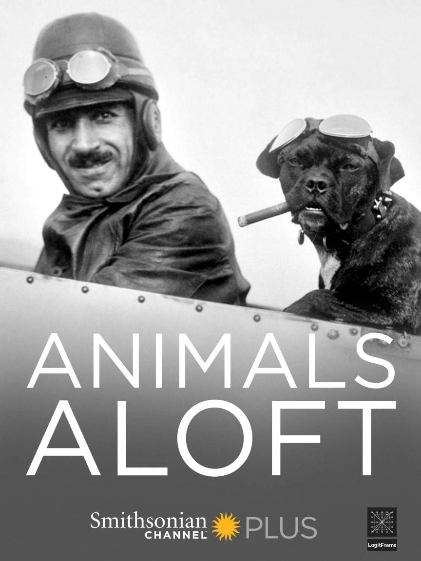 Animals Aloft 