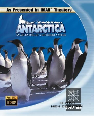 Antarctica 