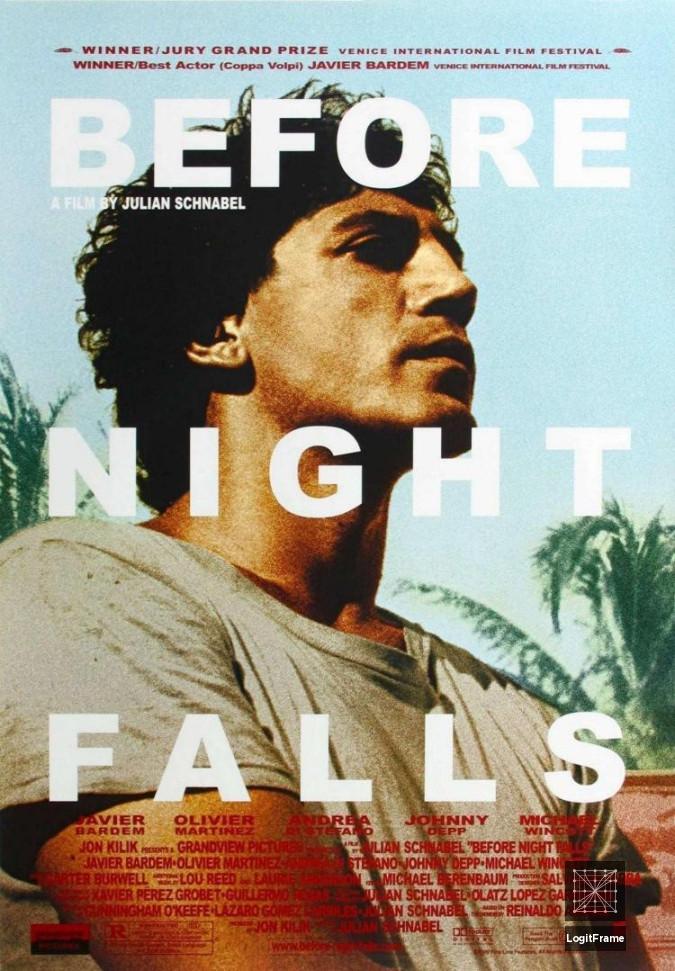 Before Night Falls 