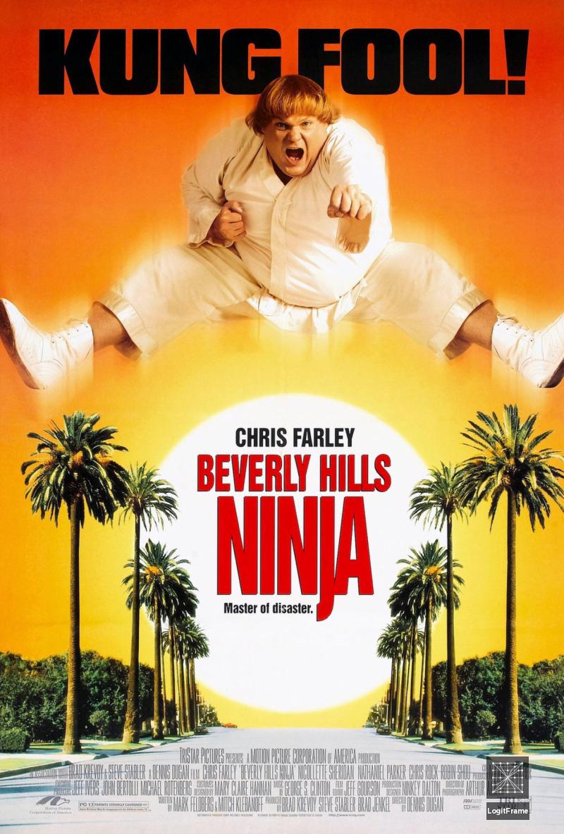 Beverly Hills Ninja 