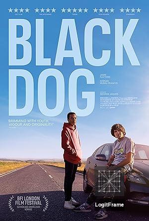 Black Dog 