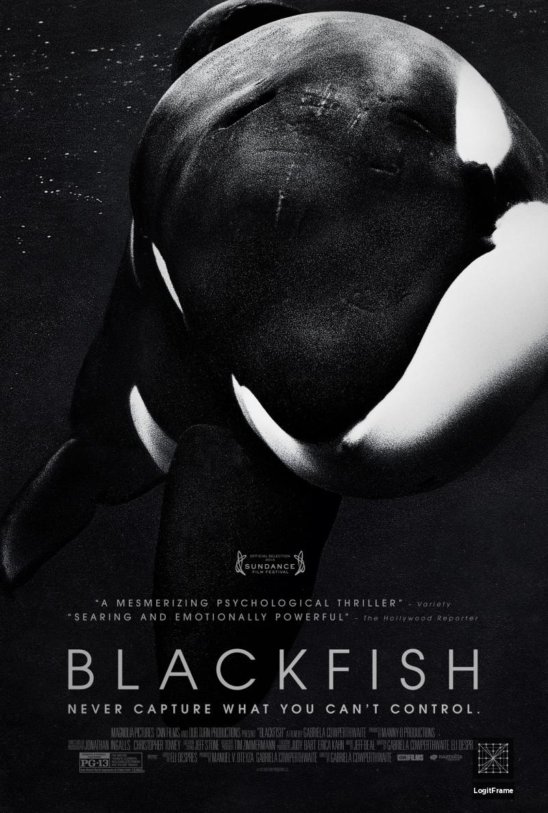Blackfish 