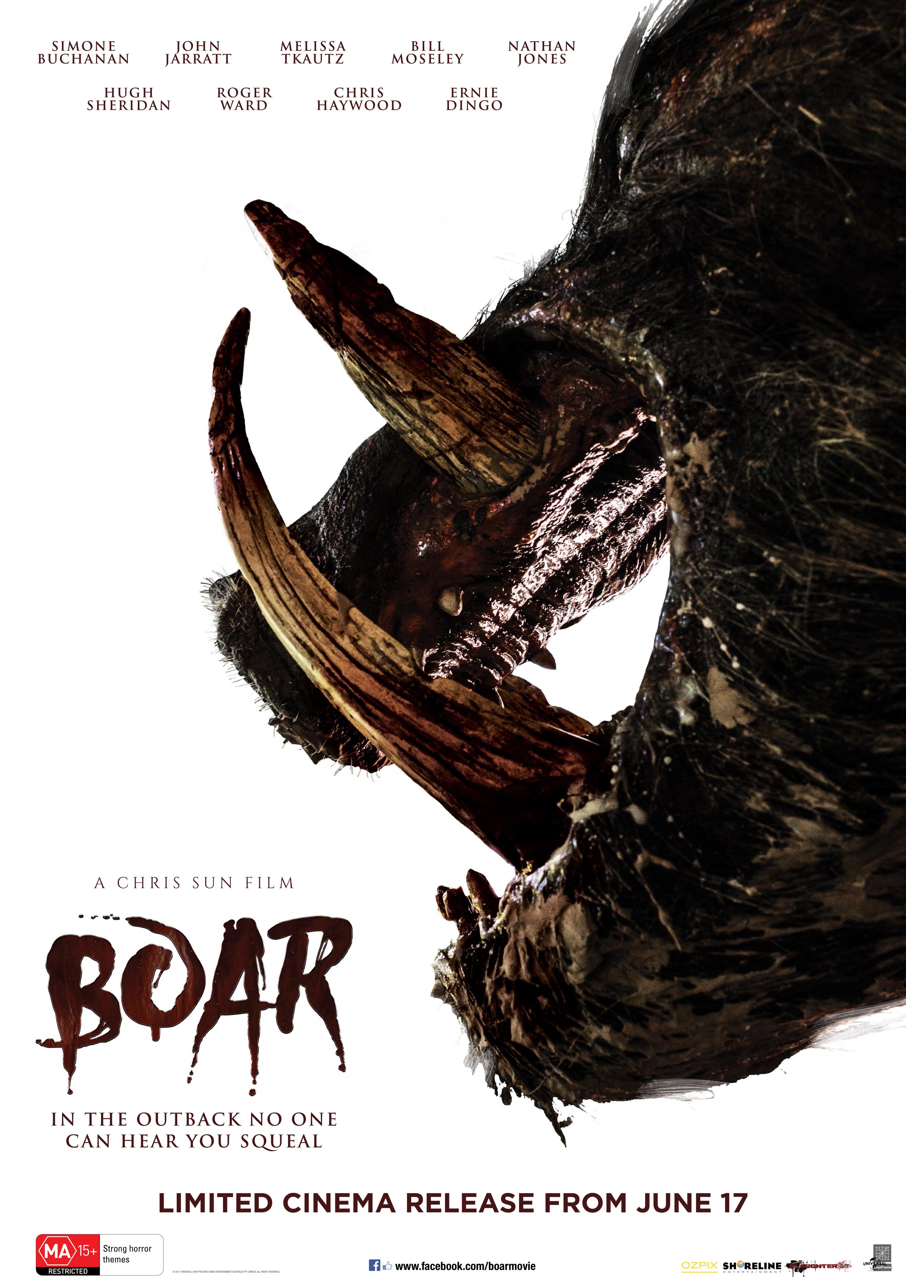 Boar 