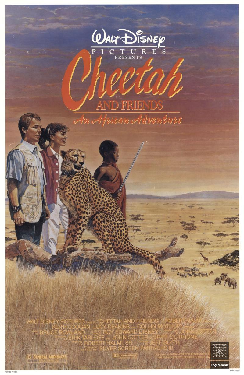Cheetah 