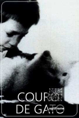 Couro de Gato (Cat Skin)
