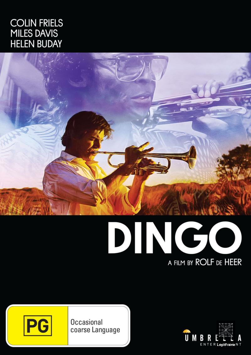 Dingo 