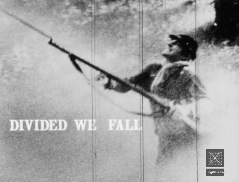 Divided We Fall 