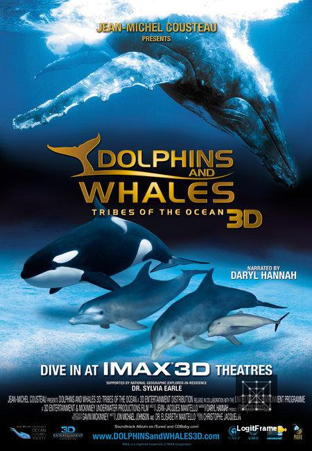 Dolphins and Whales 3D: Tribes of the Ocean 