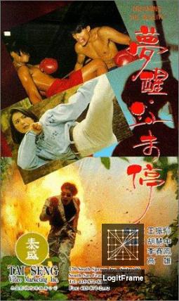 Meng xing xue wei ting (Dreaming the Reality)