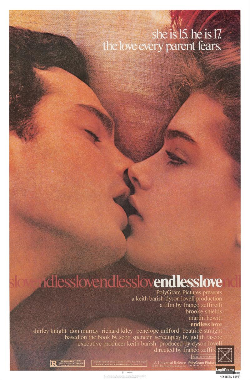 Endless Love 