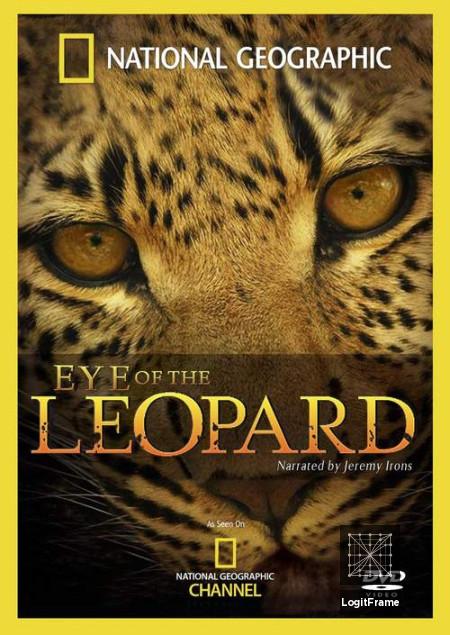 Eye of the Leopard 