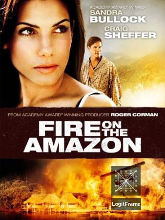 Fire on the Amazon 