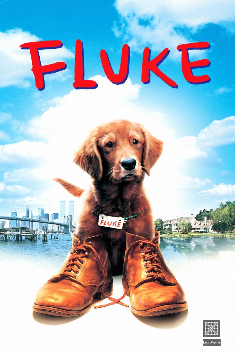 Fluke 