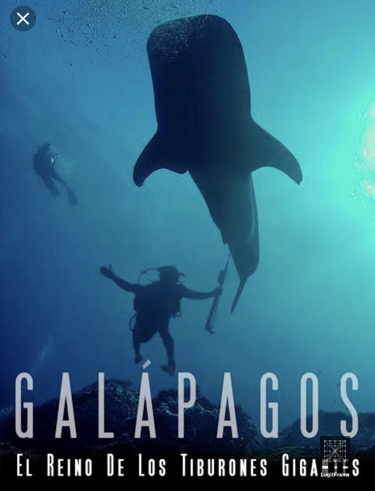 Galapagos: Realm of Giant Sharks 