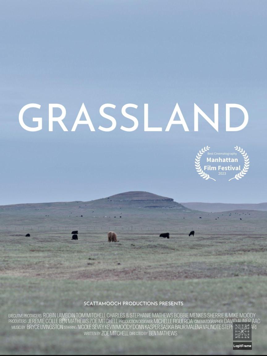 Grassland 