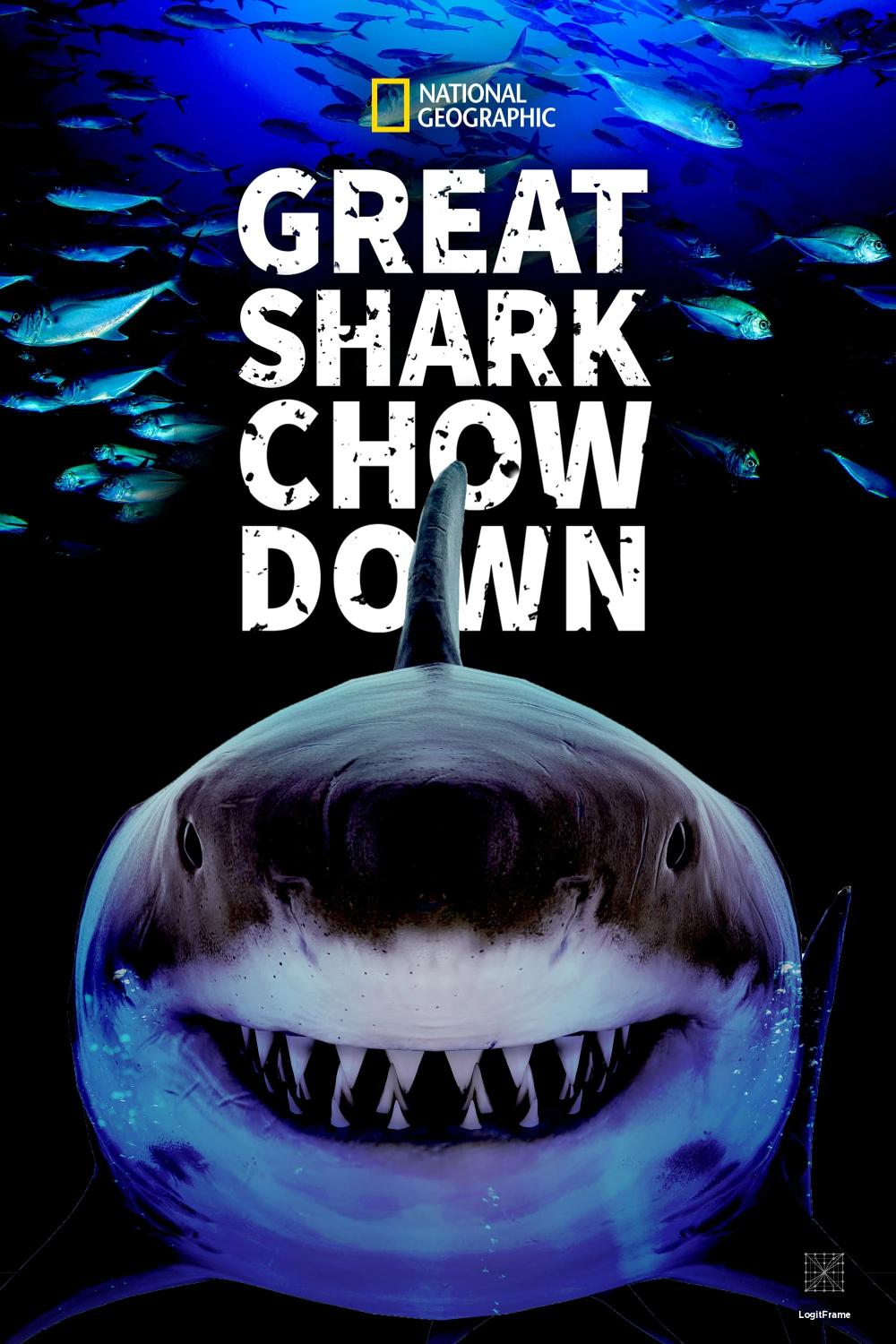 Great Shark Chow Down 