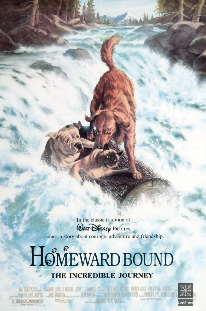 Homeward Bound: The Incredible Journey 