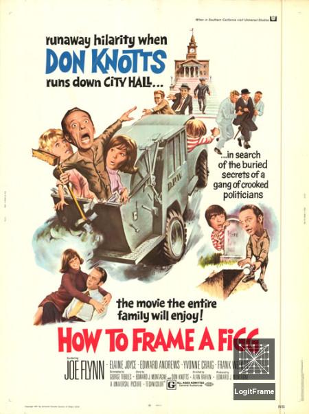 How to Frame a Figg 