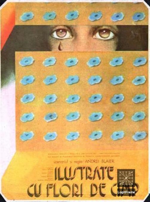 Ilustrate cu flori de câmp 