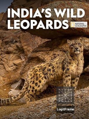 India's Wild Leopards 
