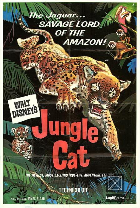 Jungle Cat 