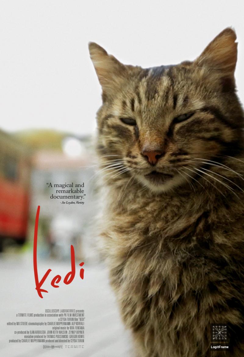 Kedi 