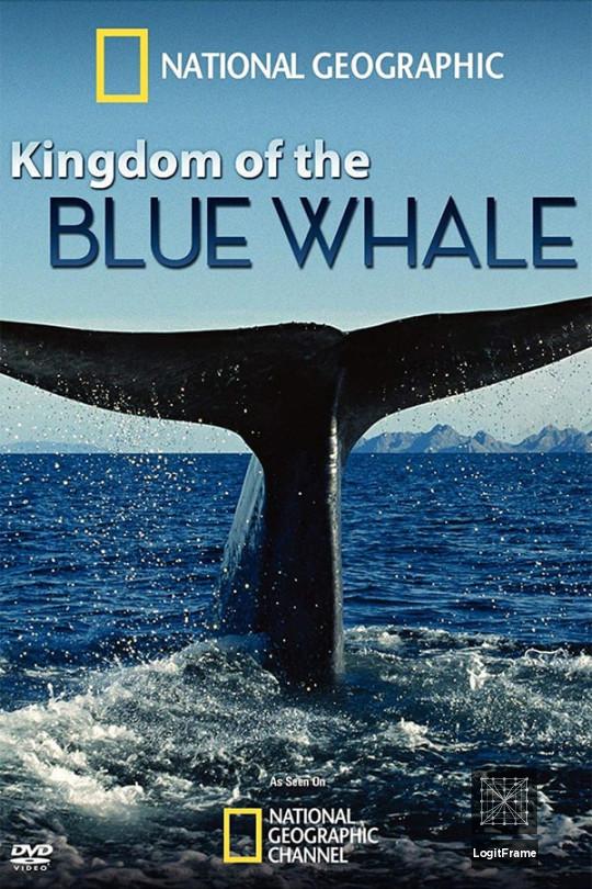 Kingdom of the Blue Whale 