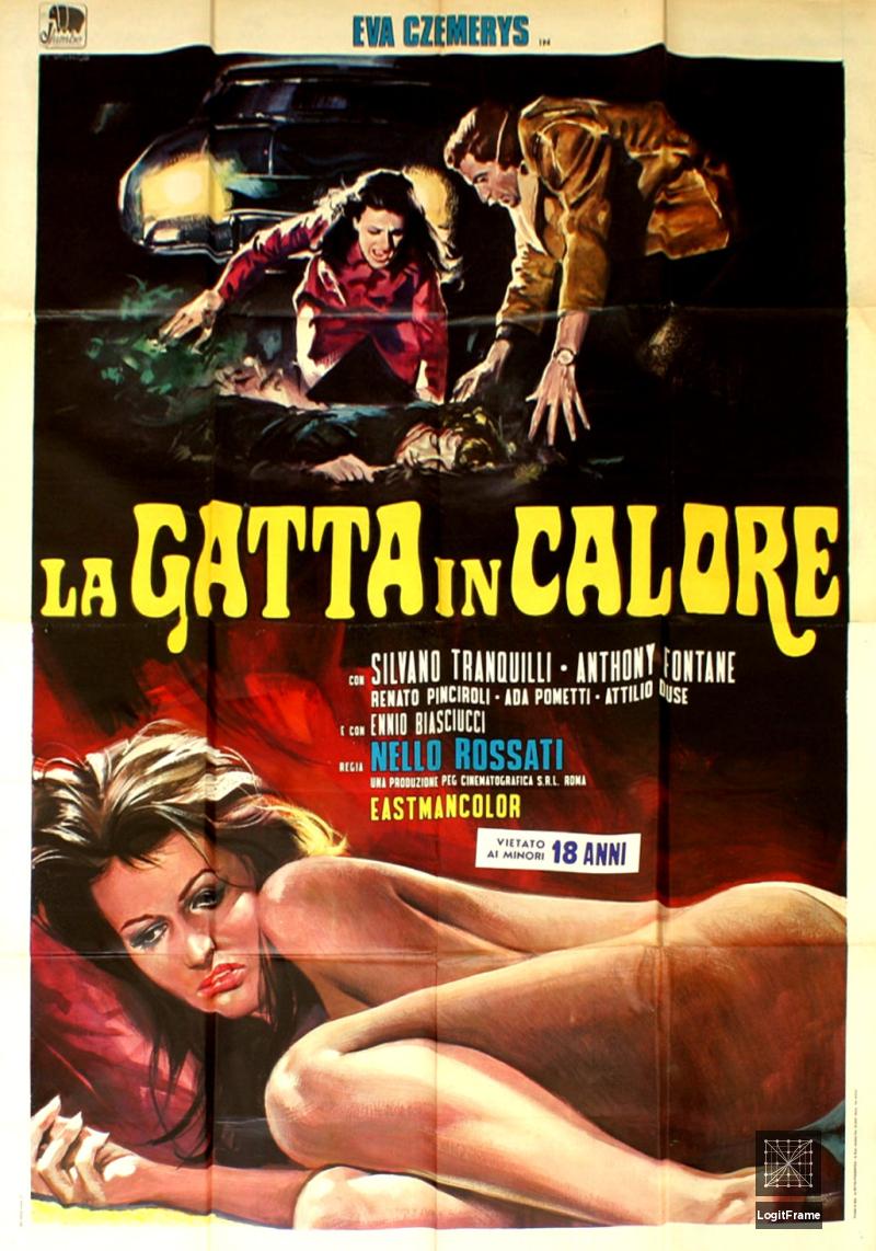 La gatta in calore 