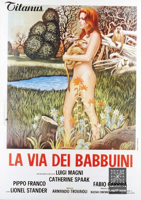 La via dei babbuini 