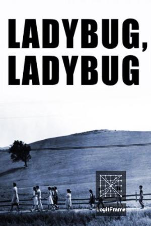 Ladybug Ladybug 