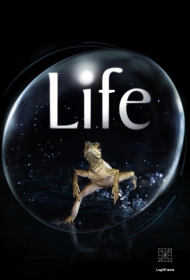 Life 