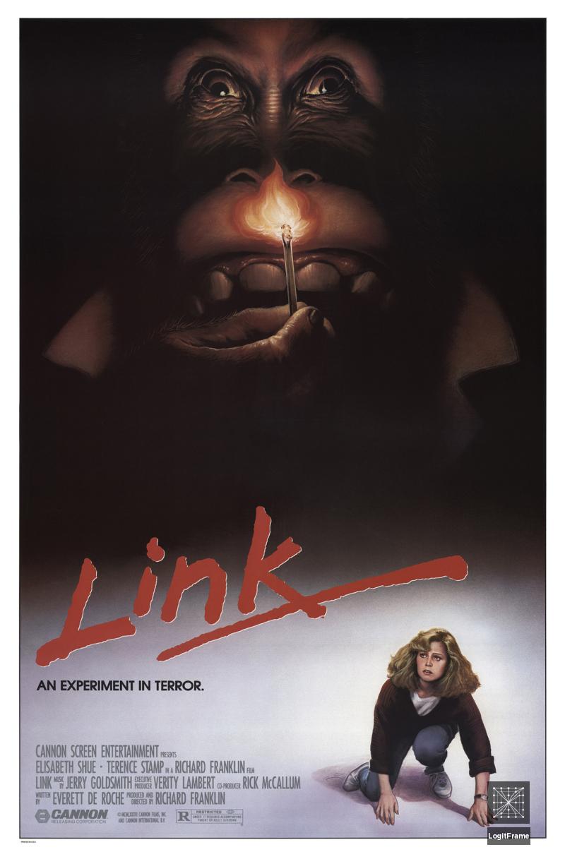 Link 