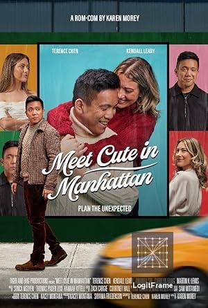 Meet Cute in Manhattan 