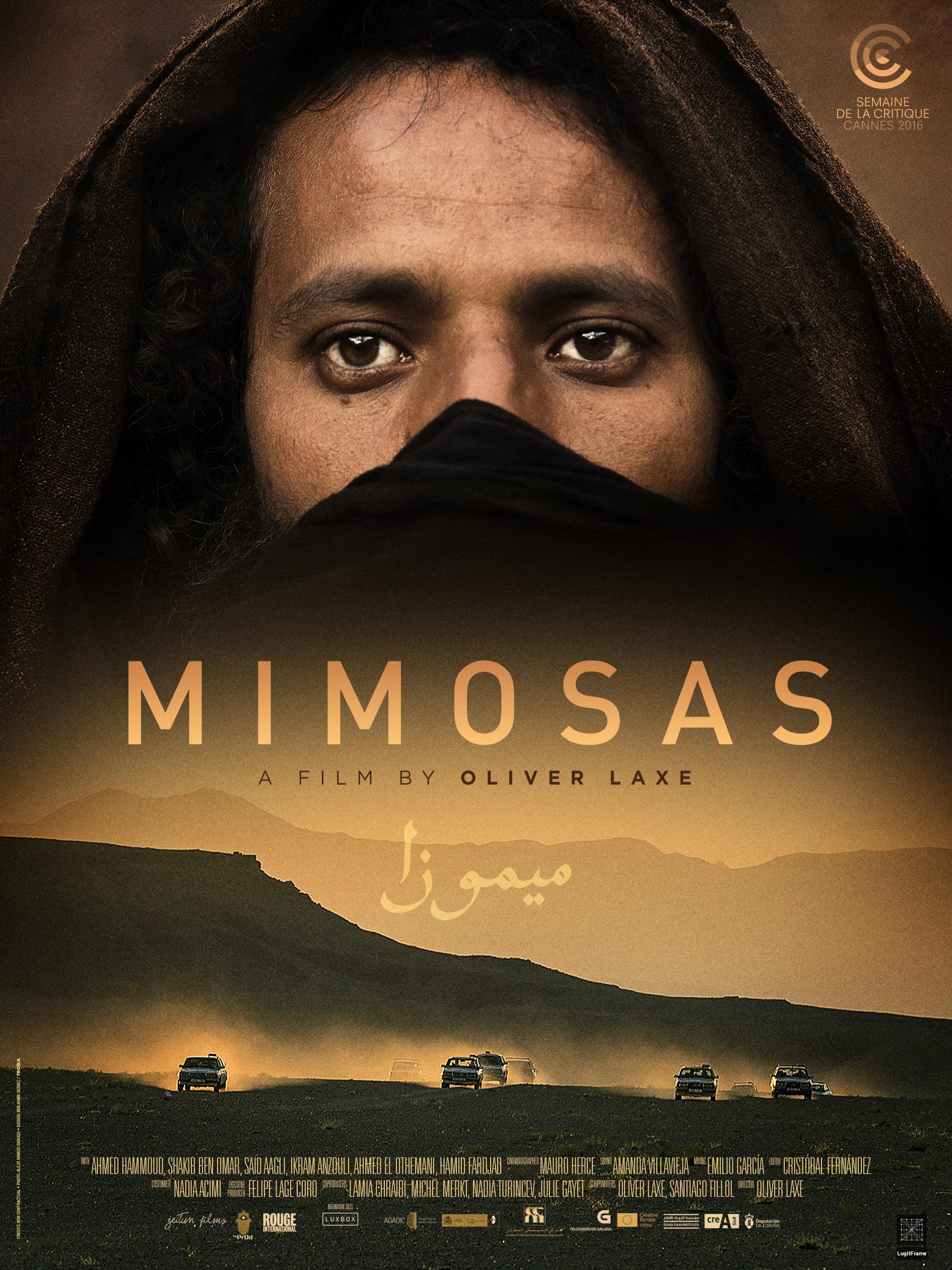 Mimosas 