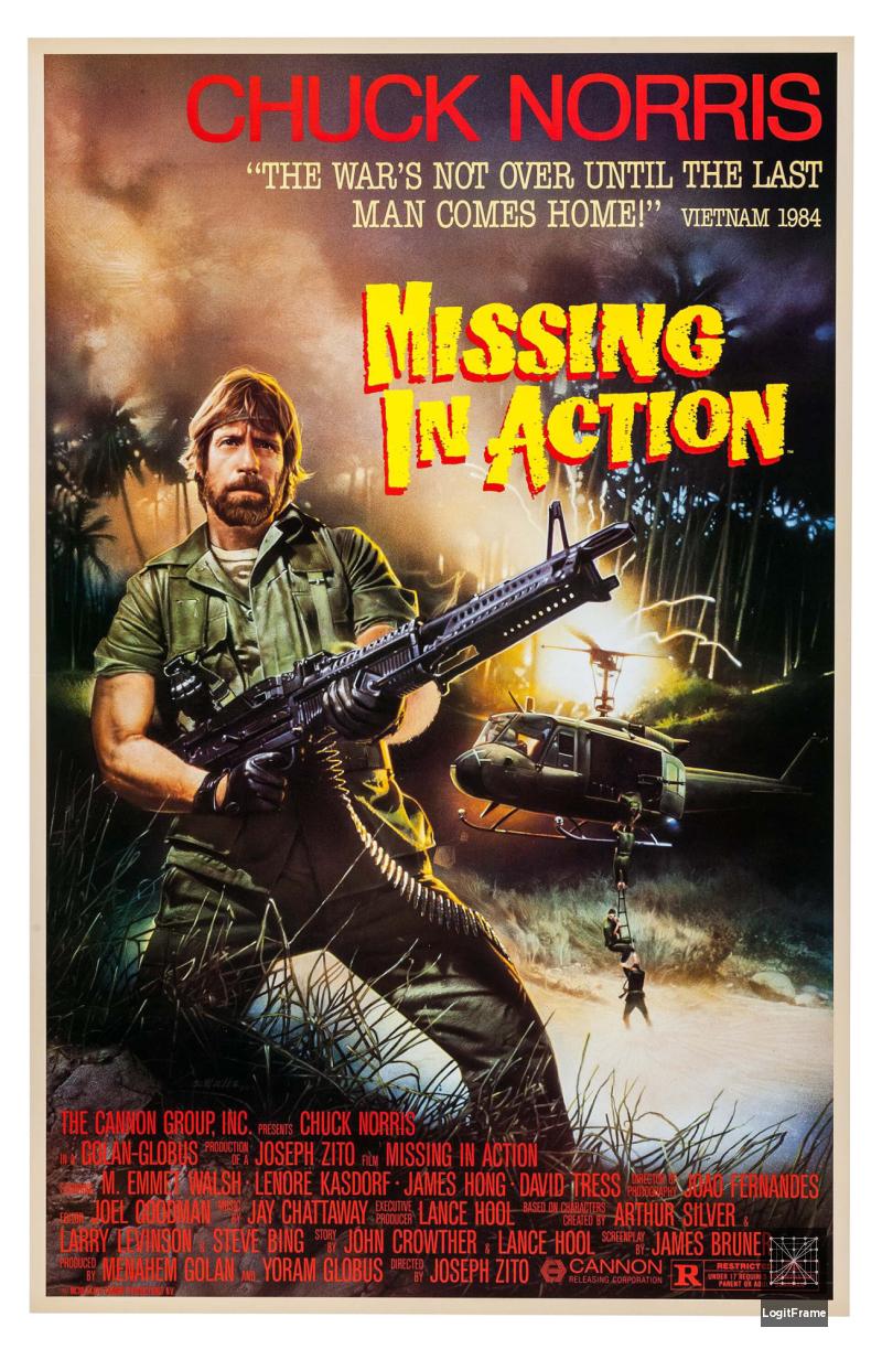 Missing in Action 