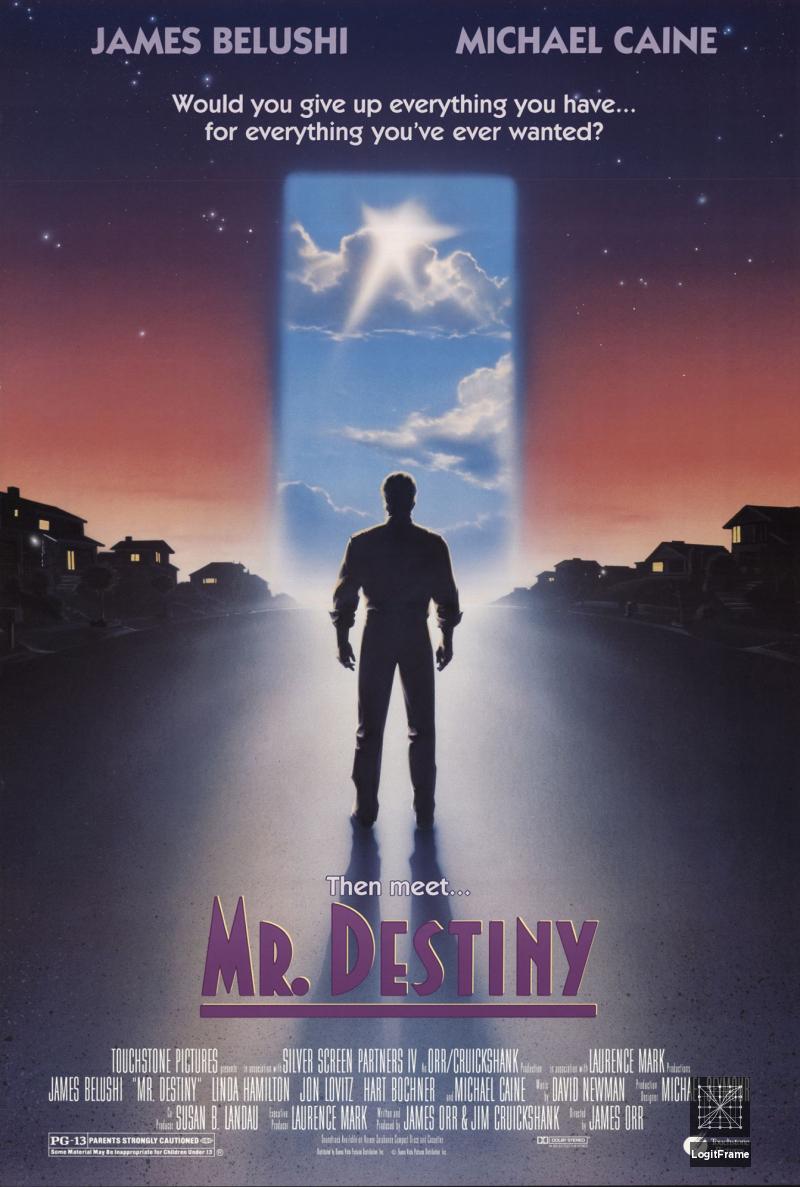 Mr. Destiny 