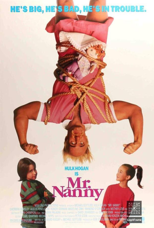 Mr. Nanny 