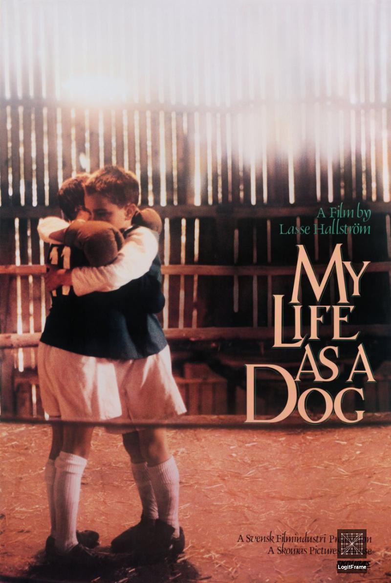 Mitt liv som hund (My Life as a Dog)