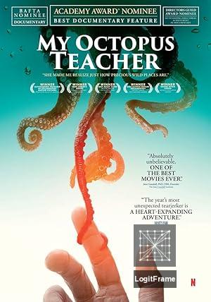 My Octopus Teacher 