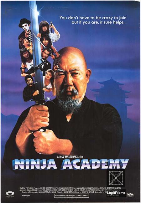 Ninja Academy 