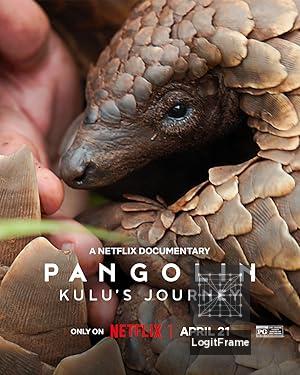 Pangolin: Kulu's Journey 