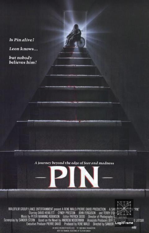Pin 