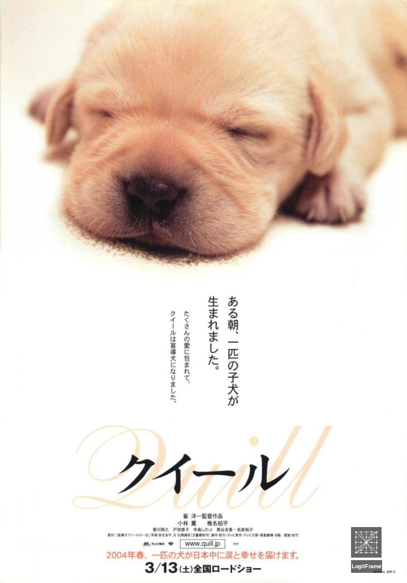 Kuîru (Quill: The Life of a Guide Dog)