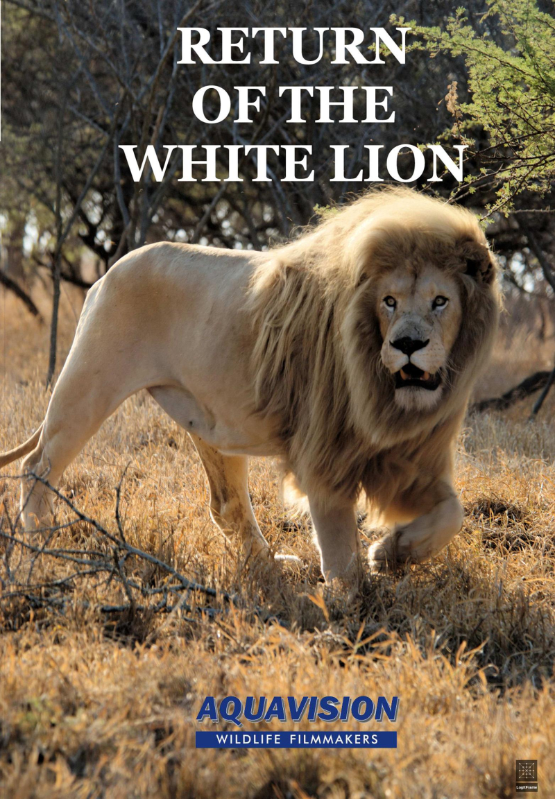 Return of the White Lion 